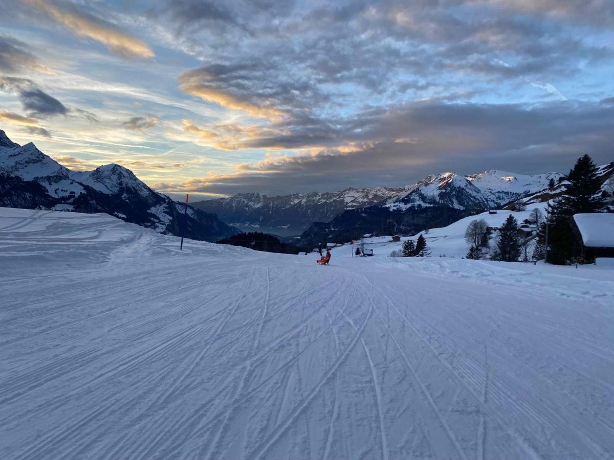 Spring Inn Apartments Meiringen Extérieur photo